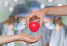 Los corazones de donantes que consumieron drogas ilegales o tuvieron sobredosis son seguros para trasplantes