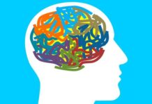 Descubren un nuevo mecanismo que explica la formación de la “memoria social”