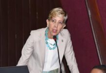 Ginette Bournigal sobre funcionarios: Piensan que son superhéroes y que nadie los puede tocar