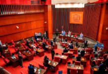 El Senado envía a comisión el reintroducido proyecto de ley de Código Penal