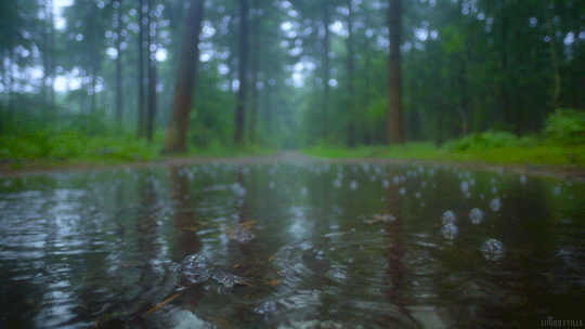 LLUVIA-EN-RD
