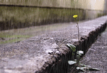 Lluvias dispersas en varias provincias este lunes por incidencia de sistema frontal