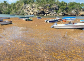 El sargazo ha acumulado más de nueve millones de toneladas en el Caribe