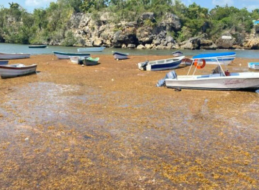 El sargazo ha acumulado más de nueve millones de toneladas en el Caribe