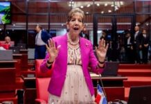 Senadora Ginnette Bournigal sale en defensa de la Policía en medio del debate por la reforma
